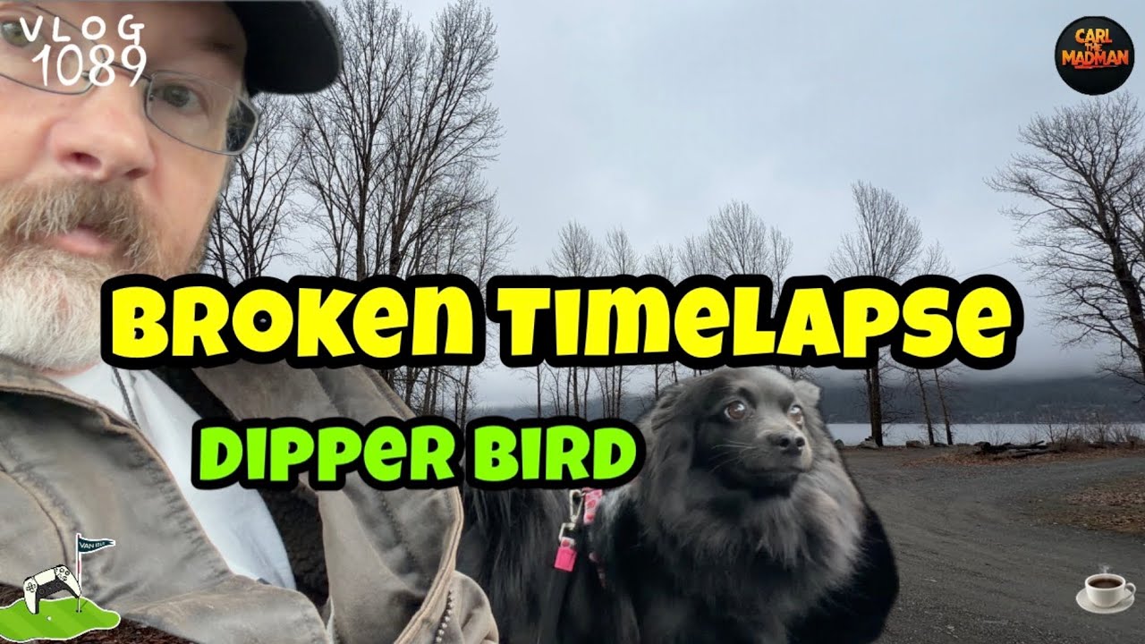 CTM 1089: Broken Timelapse – American Dipper Bird & -5