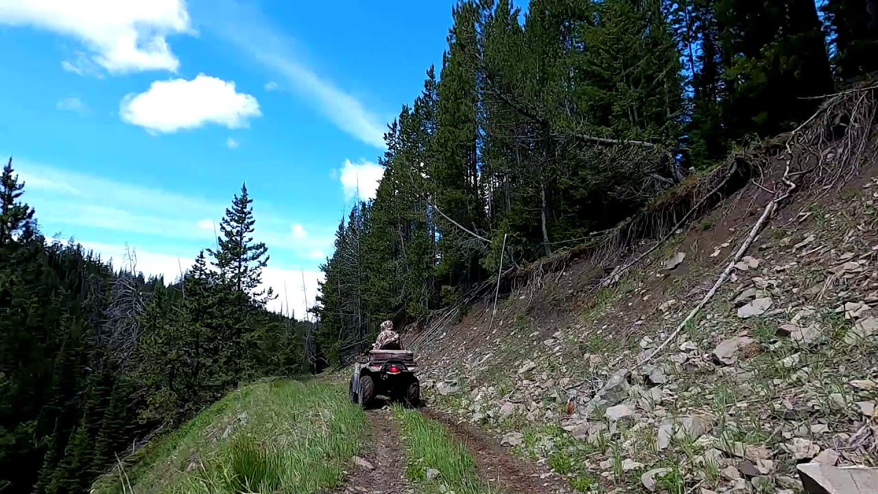 MyPilotPro Grizzly GoPro Mount for ATV and UTV