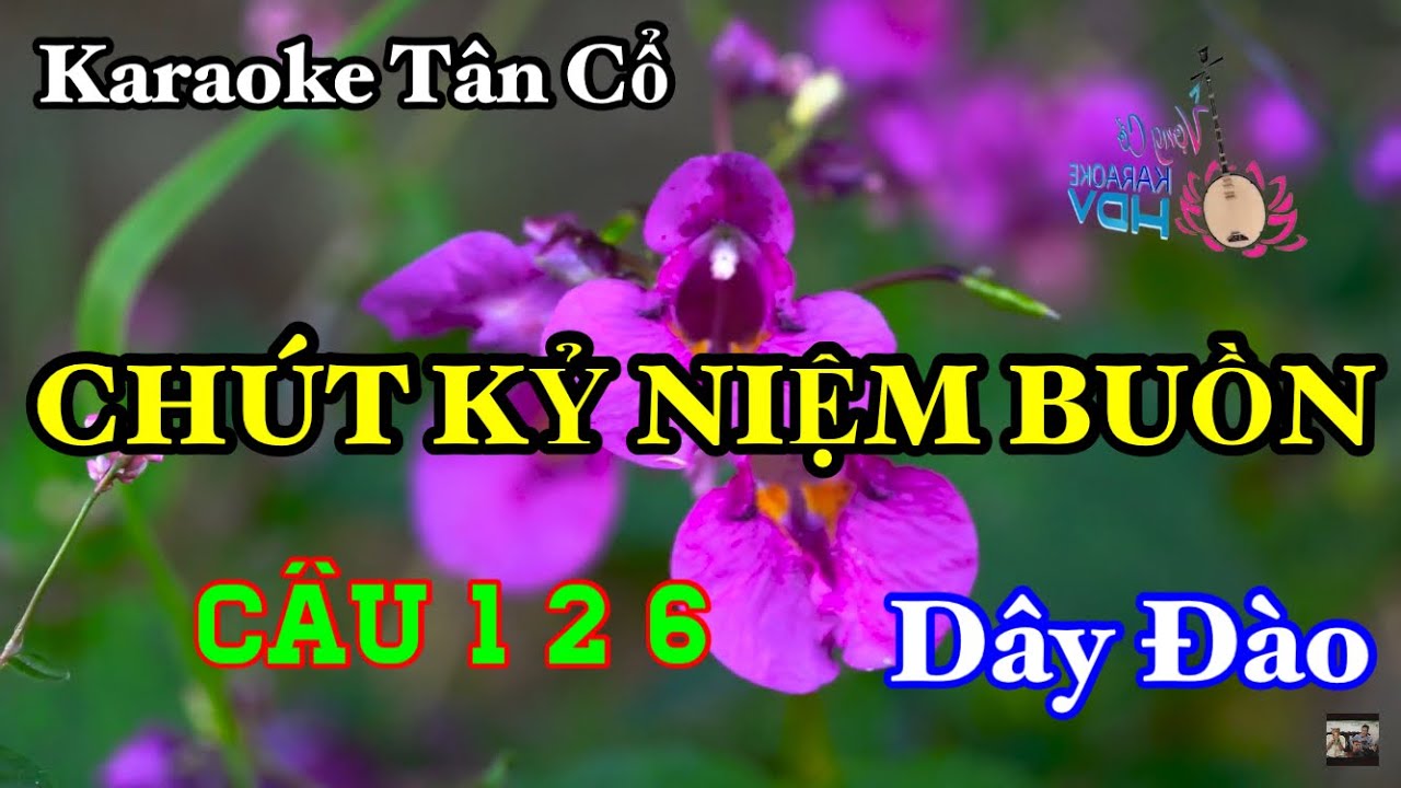 Karaoke Tân Cổ CHÚT KỶ NIỆM BUỒN | Dây Đào Câu 1 2 6