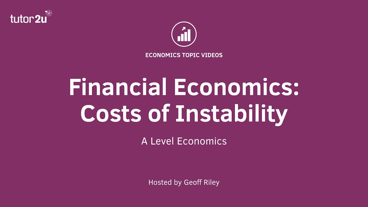 Financial Economics: Costs of Instability