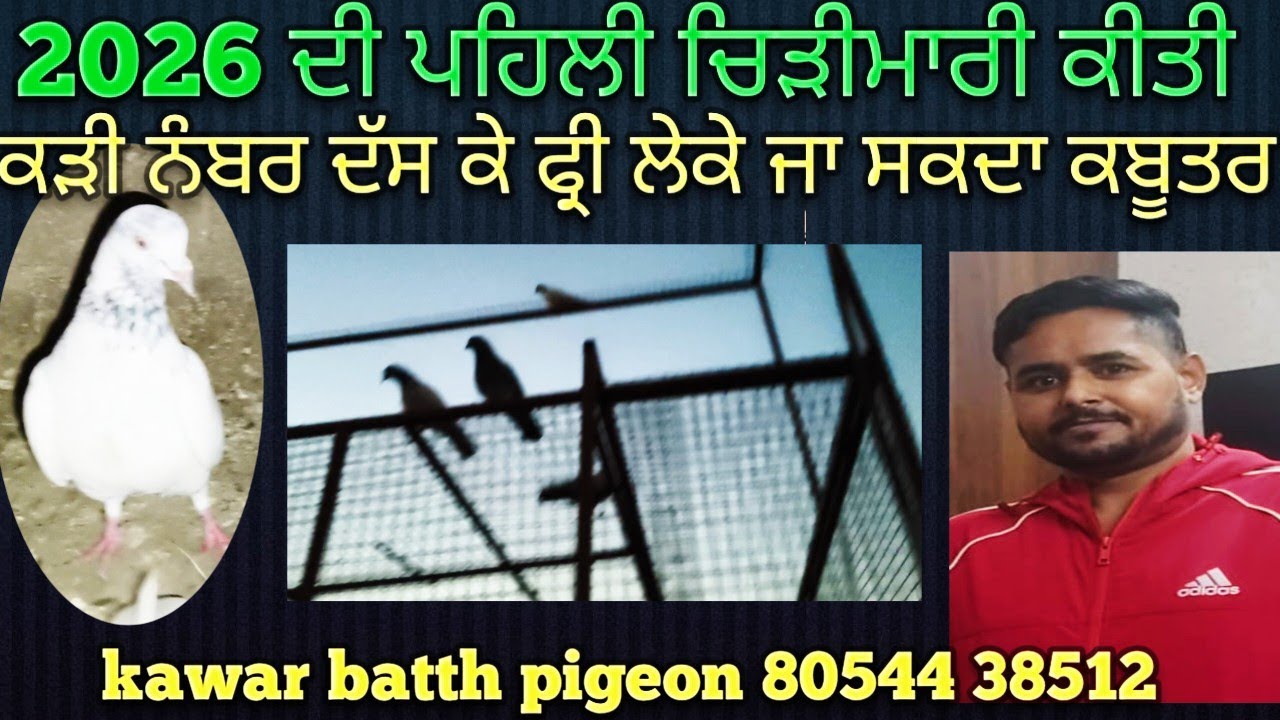 ਰਾਤ ਨੂੰ ਕਬੂਤਰ ਫੜਿਆ ਜੇਠ 2026 ਦੀ ਪਹਿਲੀ ਚਿੜੀਮਾਰੀ ਕੀਤੀ ਅੱਜ #kawarbatthpigeon 