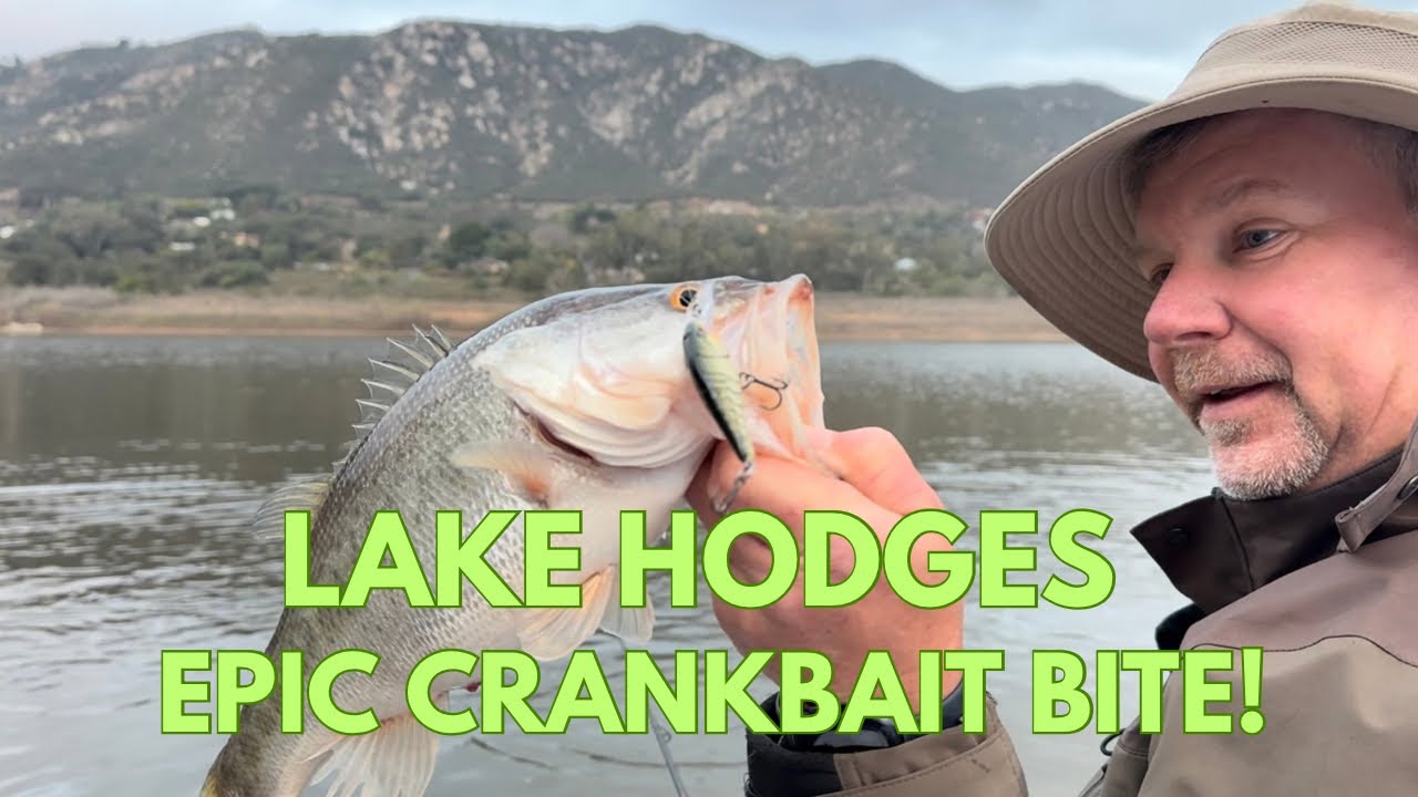 Lake Hodges Fishing: Epic Crankbait Bite!!!