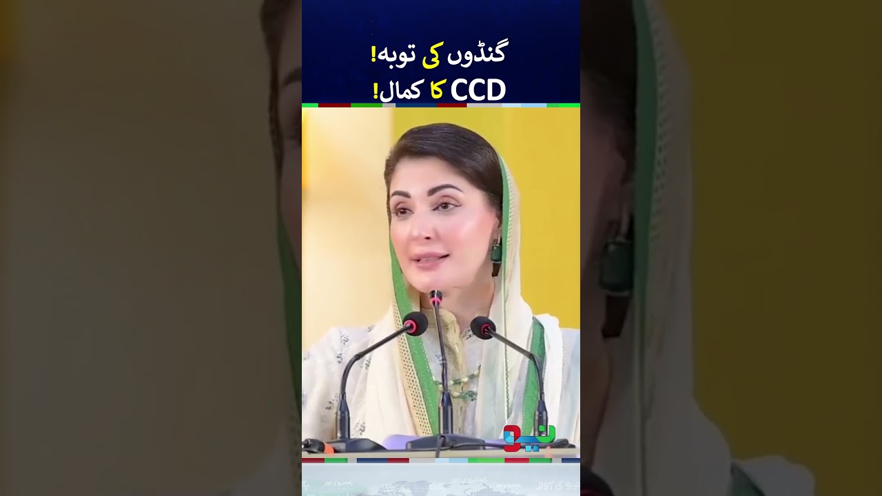 CM Maryam Nawaz Sharing CCD Performance | #maryamnawaz #shorts