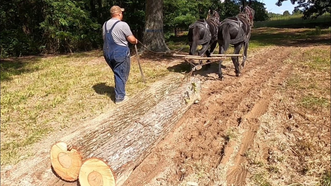 Труднодоступные брёвна и важность ОГО!!! Пожалуйста, поделитесь… #059