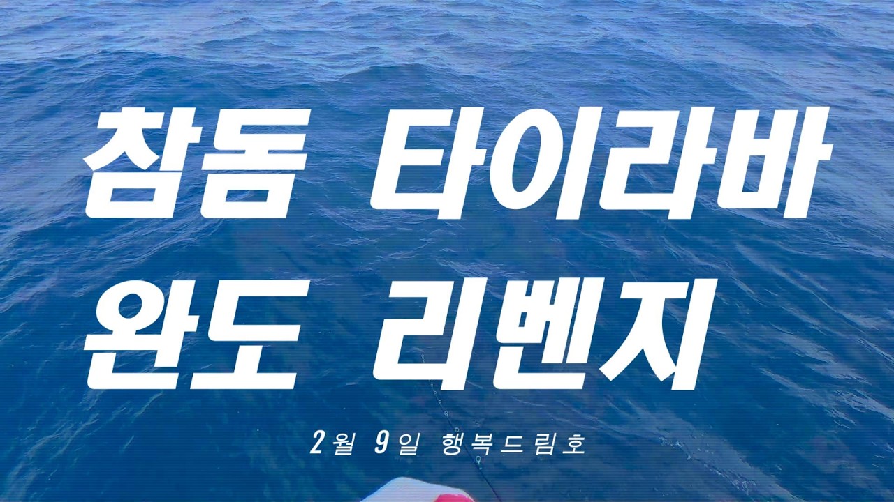 [타이라바] 완도 참돔 타이라바 나름 리벤지 조행기 (feat.행복드림1호)
