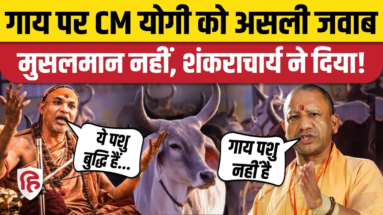Cow National Animal News: CM Yogi गाय, मुस्लिम पर क्या बोले, भड़के Shankaracharya Avimukteshwaranand