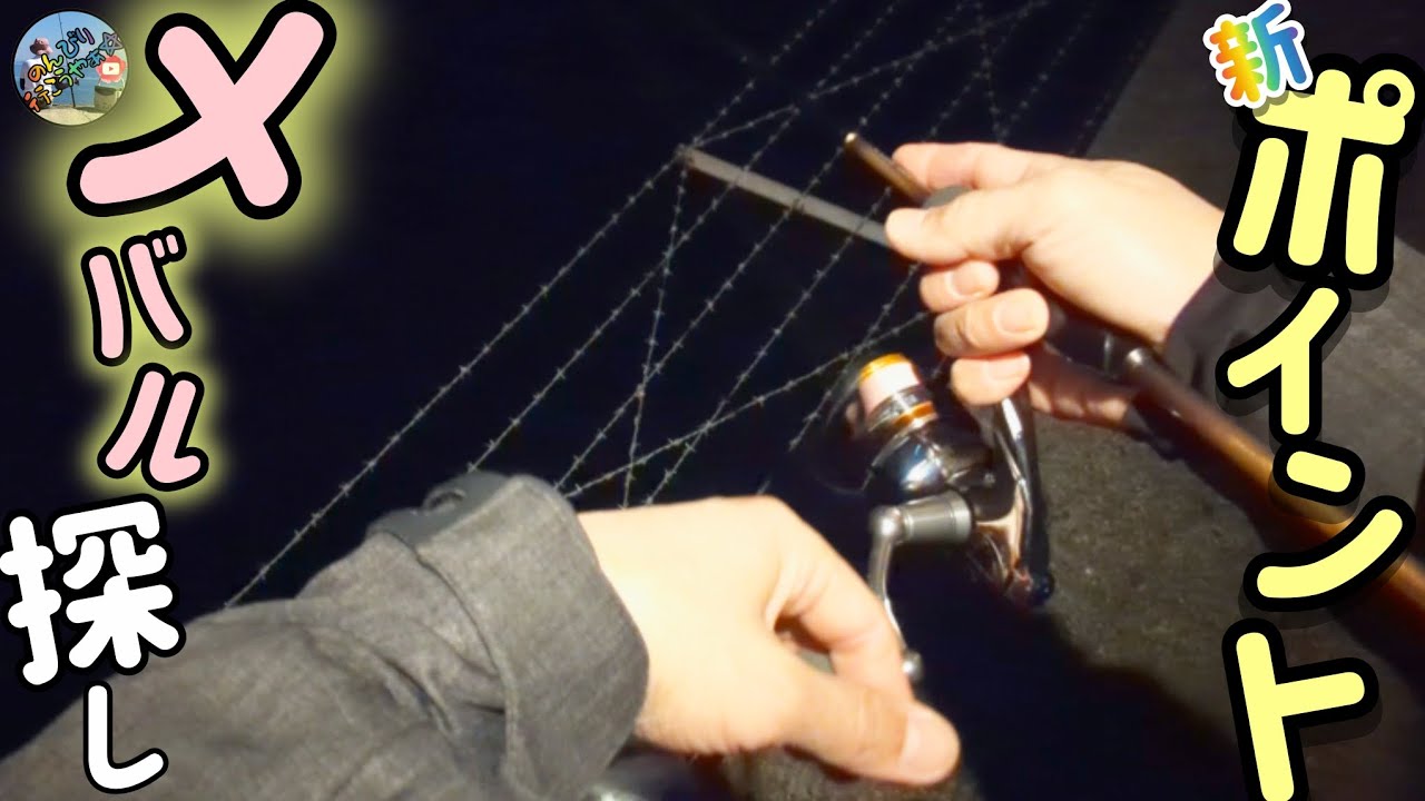 〚広島市〛1月下旬釣行🎣メバルが釣れる穴場のポイントを探しに行ってきた🛵💨果たして釣れたのか🤔❓