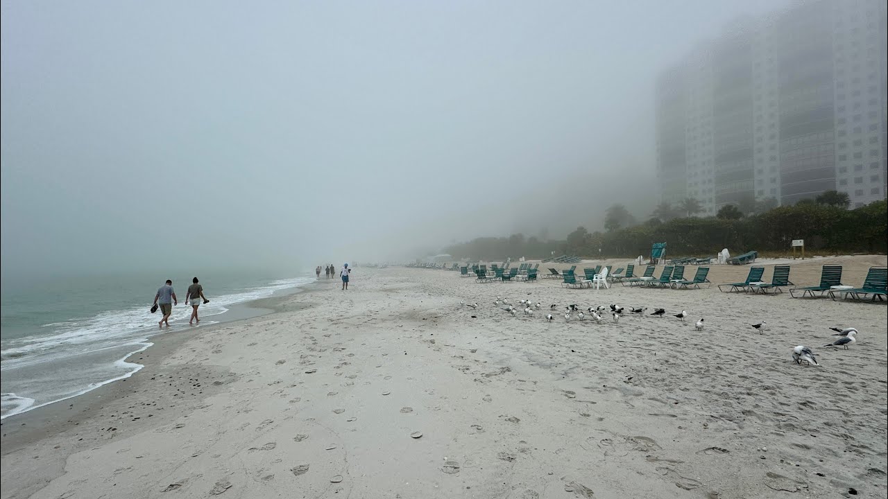Robb’s Very Foggy Saturday Morning Beach Walk in North Naples, Florida | February 28, 2026
