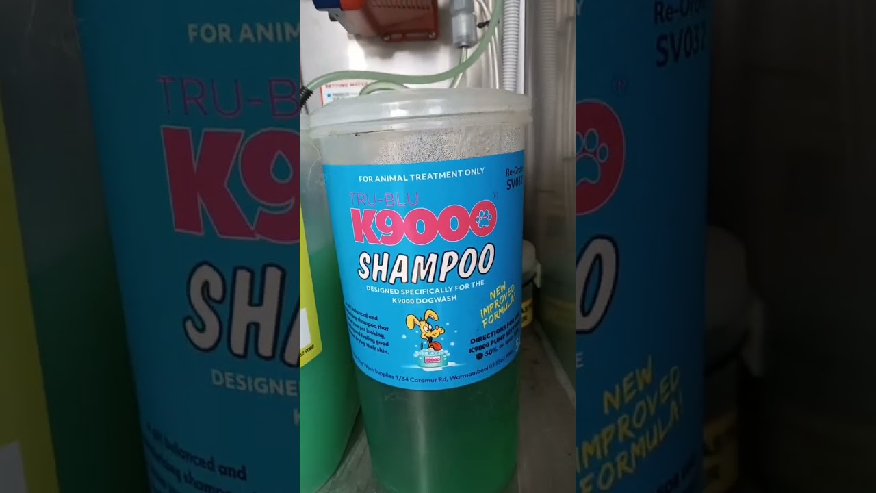 Whats inside a K9000 Dogwash? let's find out! #short #dogwash