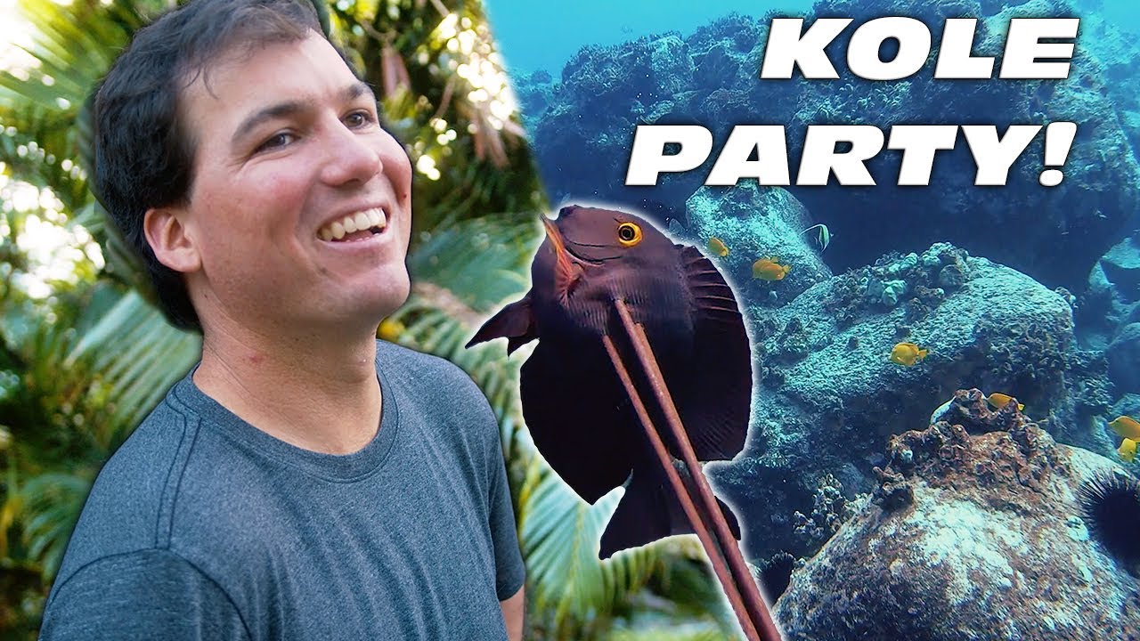 Spearing enough fish for our house warming party! (catch and cook)