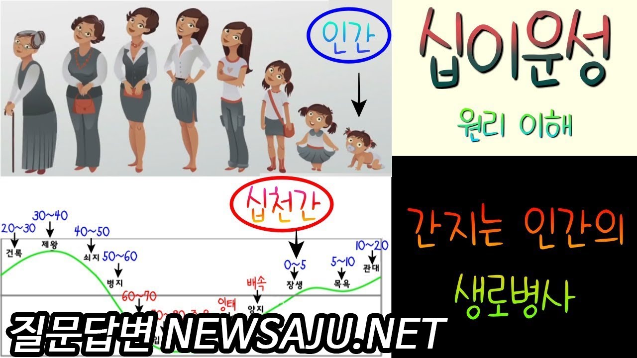 십이운성을 보면 그 사람의 성격 심리가 보인다. (연애심리, 인간관계)