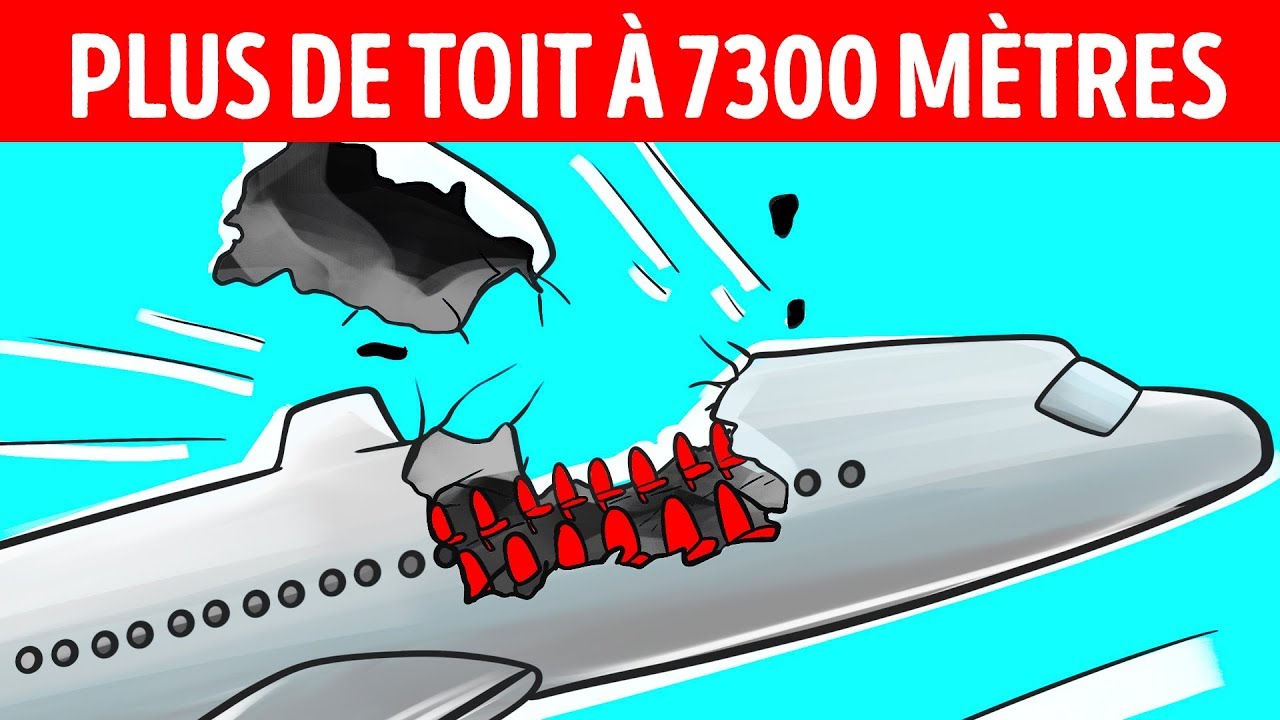 Un Avion a Perdu son Toit à 7300 Mètres Mais a Réussi à Atterrir