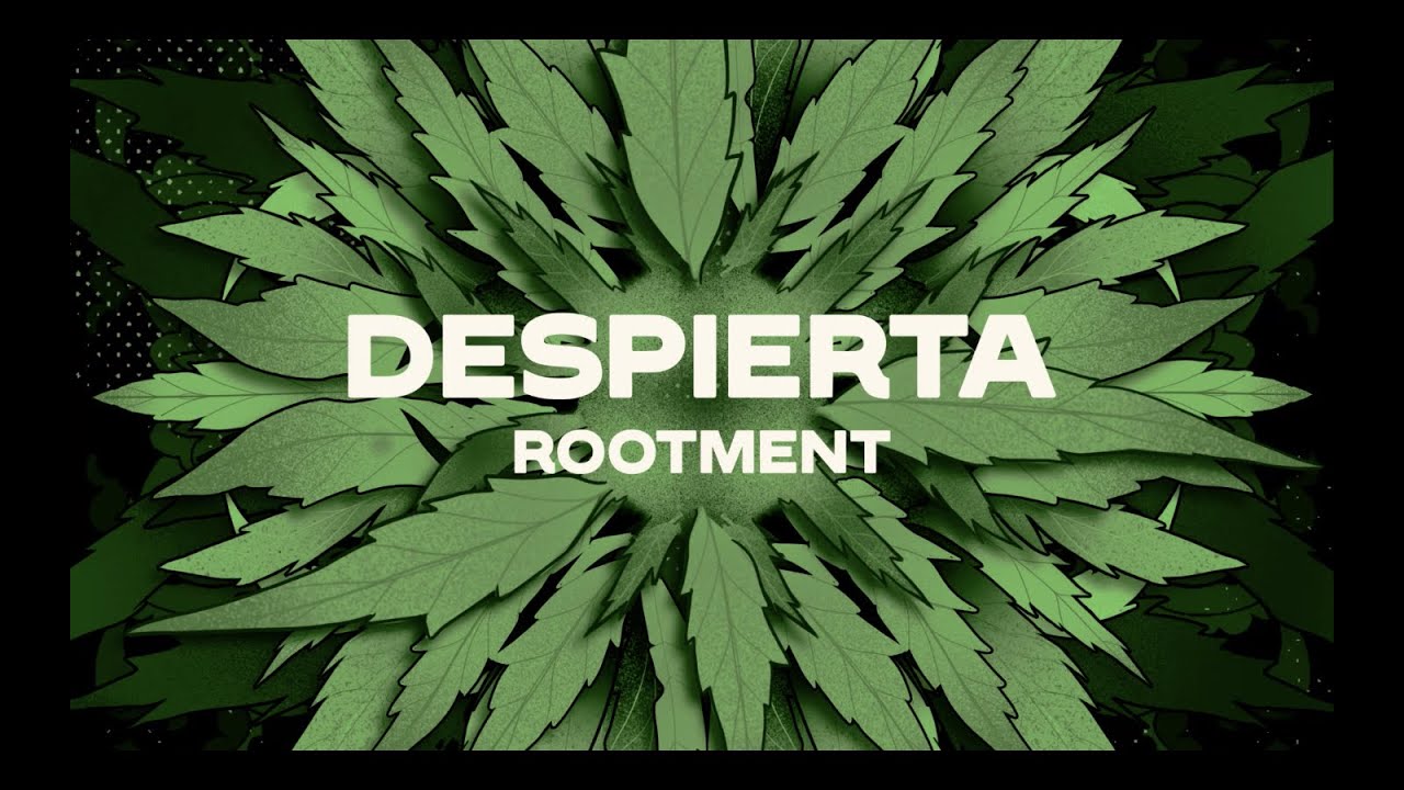 ROOTMENT - Despierta (Videolyric) - Album 