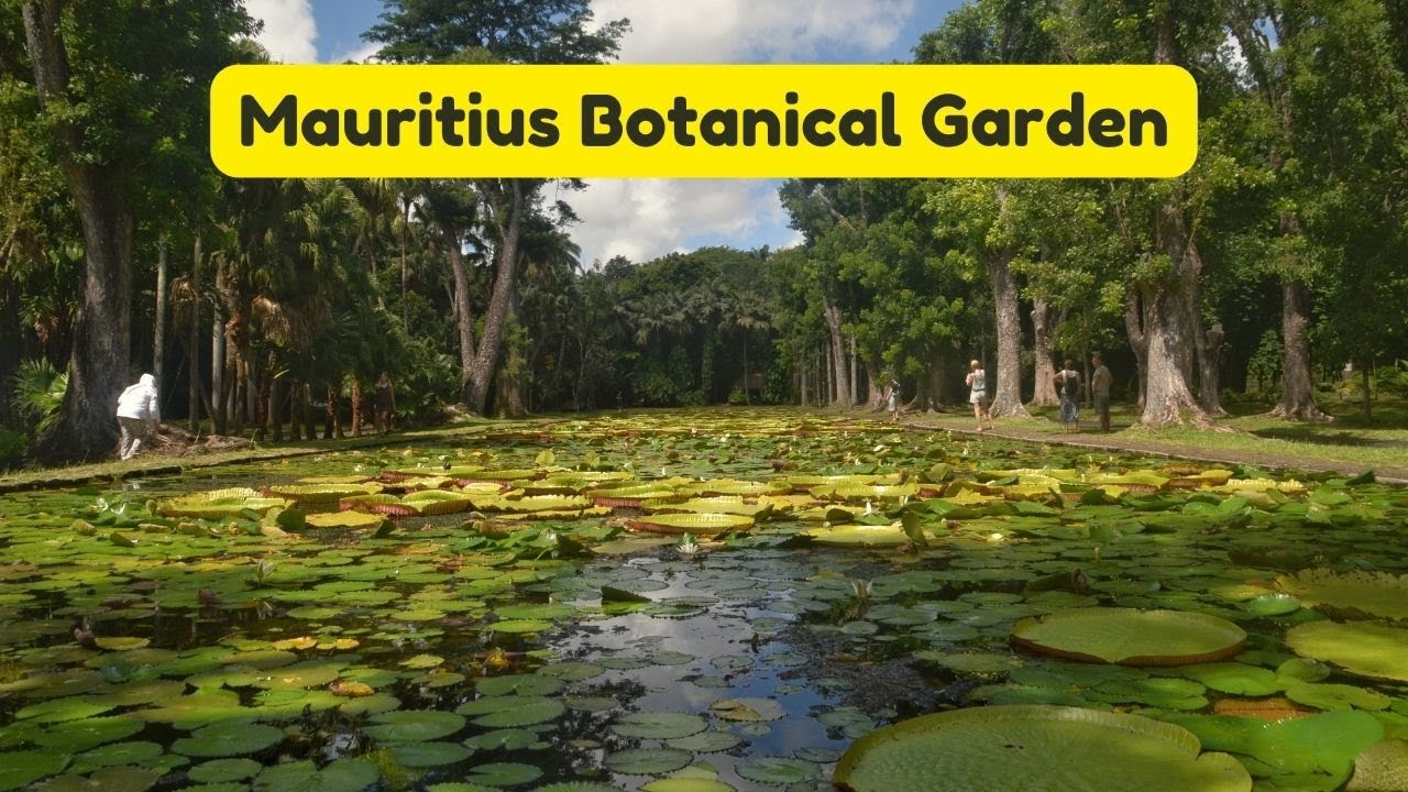 Sir Seewoosagur Ramgoolam Botanical Garden in Mauritius: A Haven of Exotic Plants