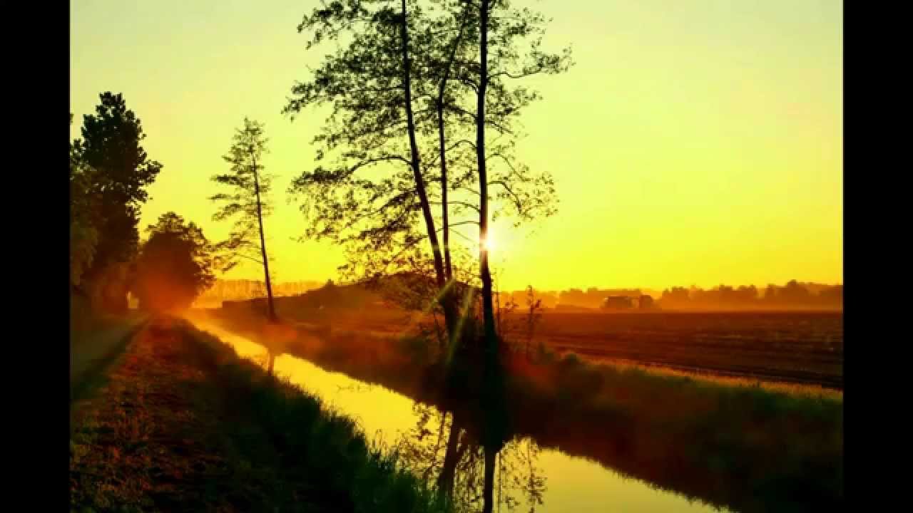 Nena - wo ist mein zu Hause (Cover by Anja Bo) - #Neuholland