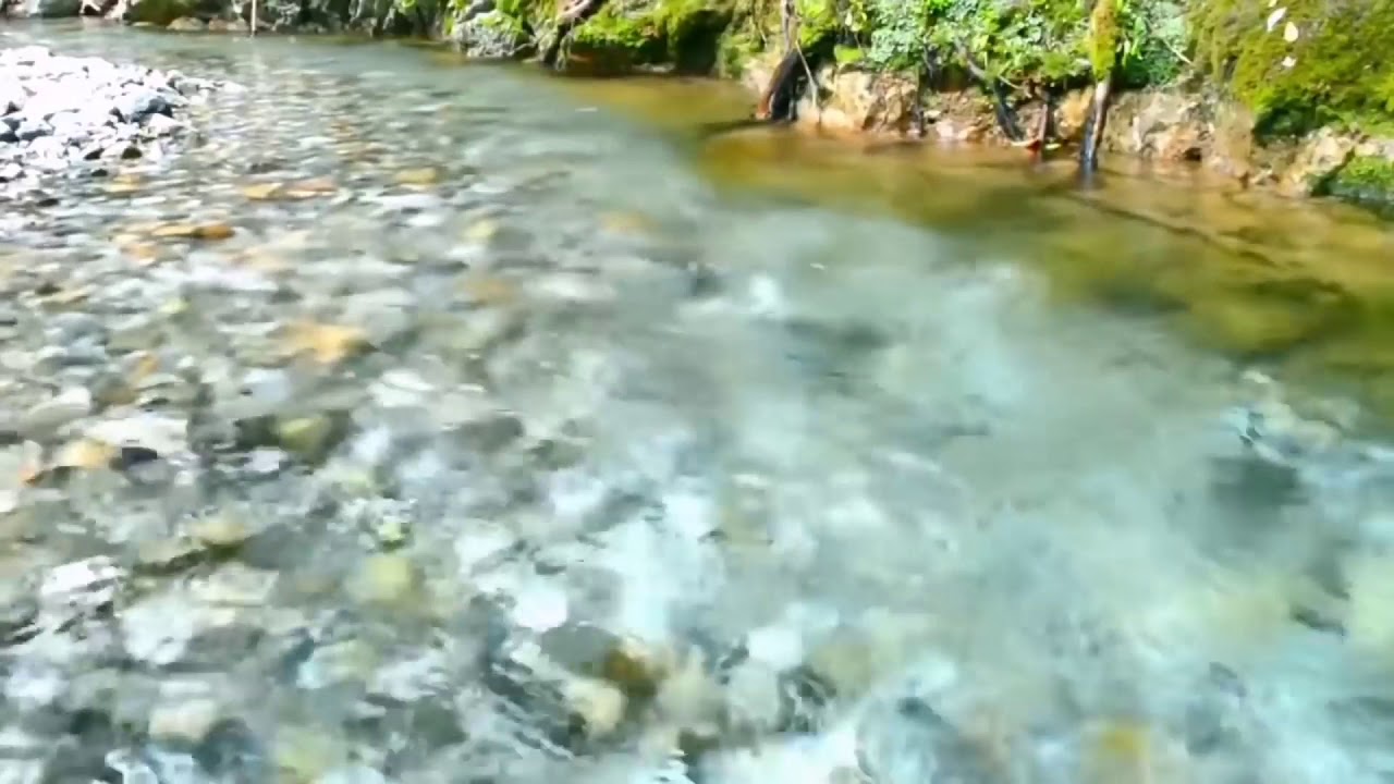 Dinlendirici Dere Sesi - Relaxing Natural Sound #relaxingmusic #deepsleep