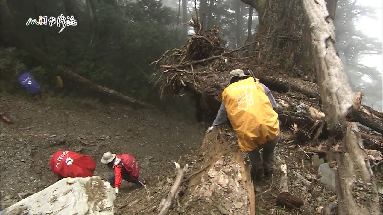 20141109【647】MIT台灣誌 能高越嶺 原始舊路初探 消失在帝雉森林中的駐在所