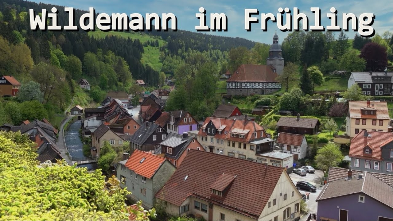Wildemann im Frühling 2021