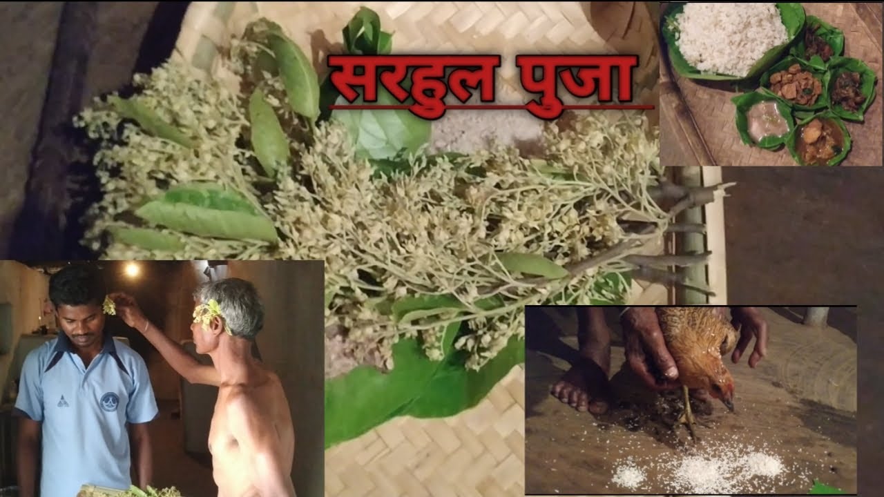 सरहुल पुजा 🌳 उरांव आदिवासियों का त्योहार // SARHUL PUJA 🌳 ORAON ADIVASI FESTIVAL ( part-2 )