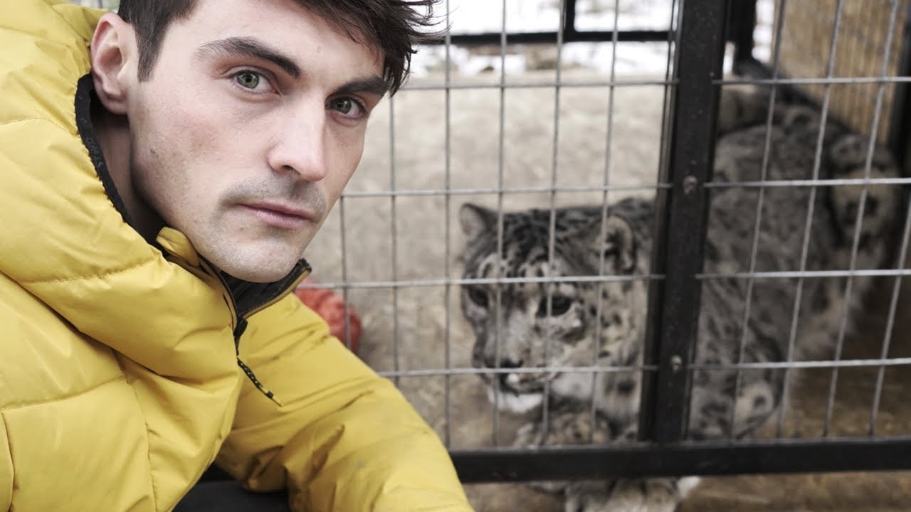 Snow Leopards: Ghosts in the Snow (Full Episode) | Part 4 | BBC Earth