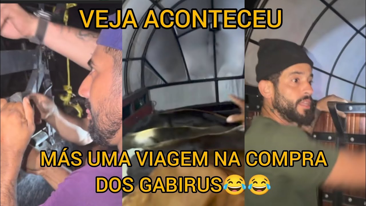 NATHAN E PEIXE MÁS UMA VIAGEM NA COMPRA DOS GABIRUS VEJA ACONTECEU 