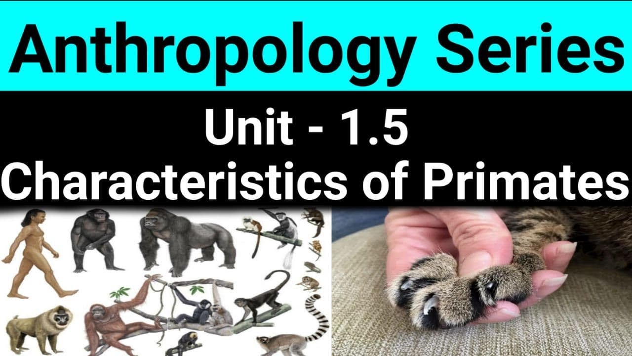 Characteristics of Primates; Evolutionary Trend and Primate Taxonomy | Task IAS | #upsc #ias #uppcs