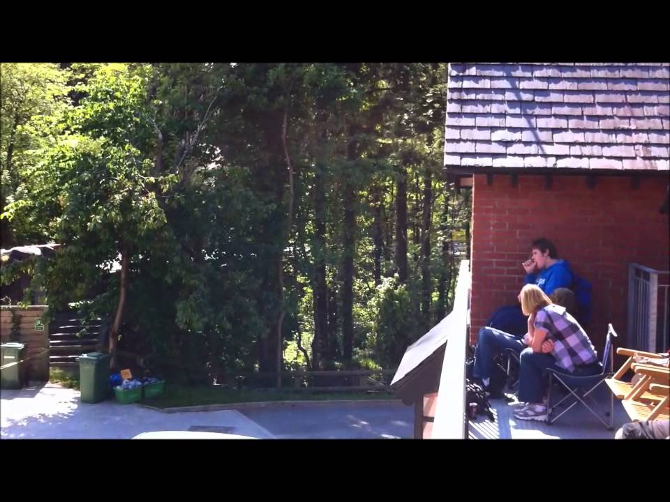 Mark Higgins TT2011 at Braddan Bridge