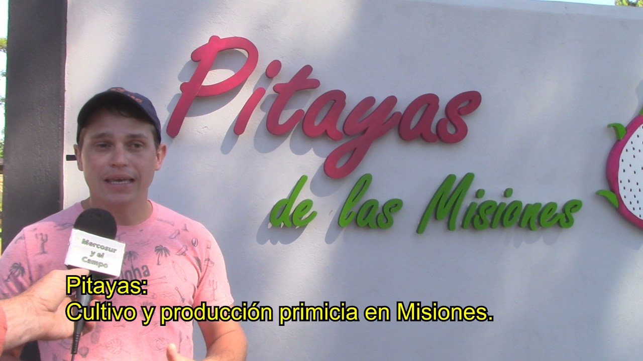Pitayas de las Misiones