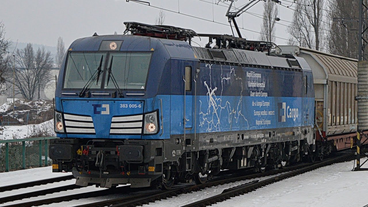 Vlaky Děčín hlavní nádraží / Züge Decin Hauptbahnhof 28.1.2017