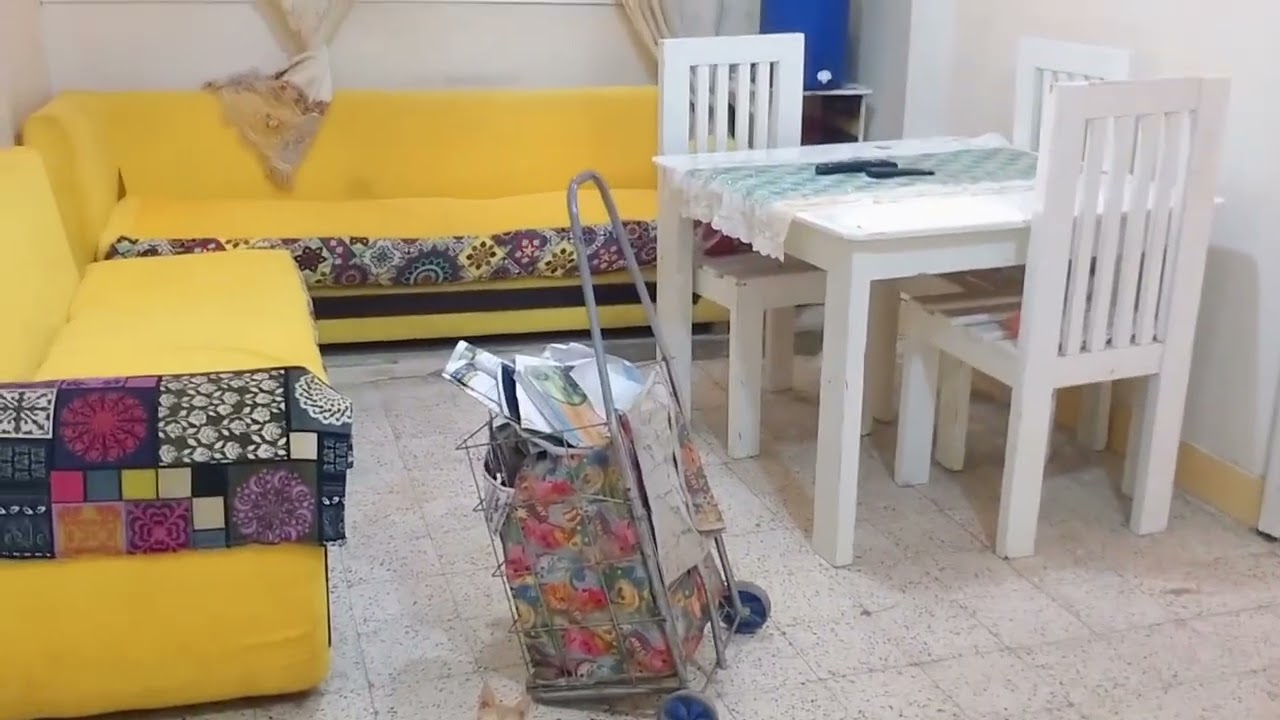 روتين يومي بعد اللي حصلي شكلي هموت ذي فراخي😂😂