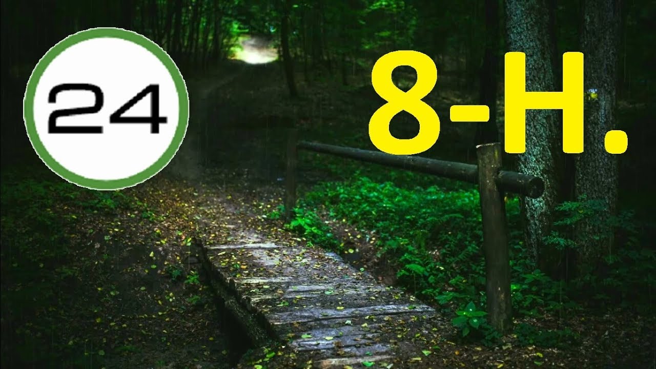 SONIDO de LLUVIA y TRUENOS para DORMIR 8 HORAS☔⚡Lluvia SUAVE y TRUENOS lejanos en Bosque para Dormir