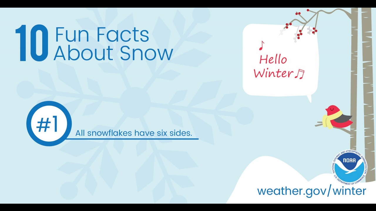 10 Fun Facts About Snow