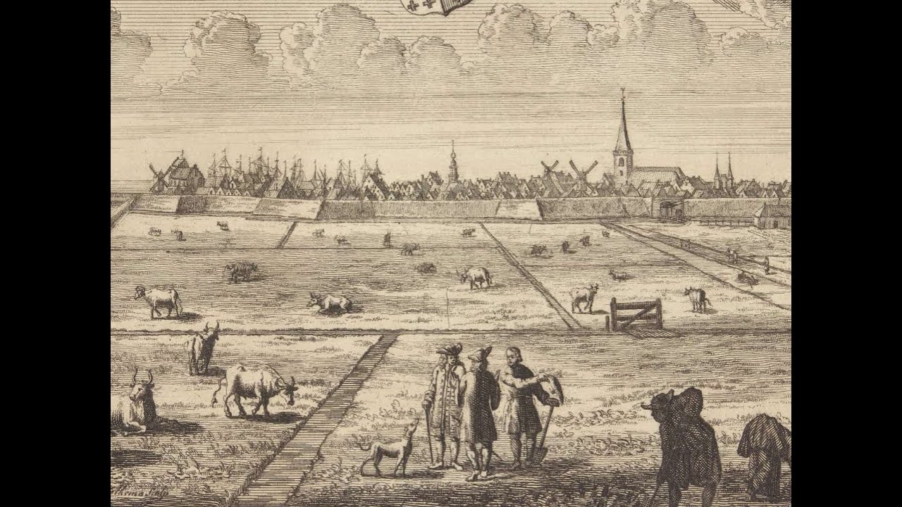 Dorp aan Zee / Album Harlingen Seunnenga Vestdijk