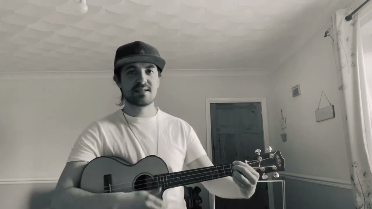 Foo fighters - Times like these (UKULELE COVER)