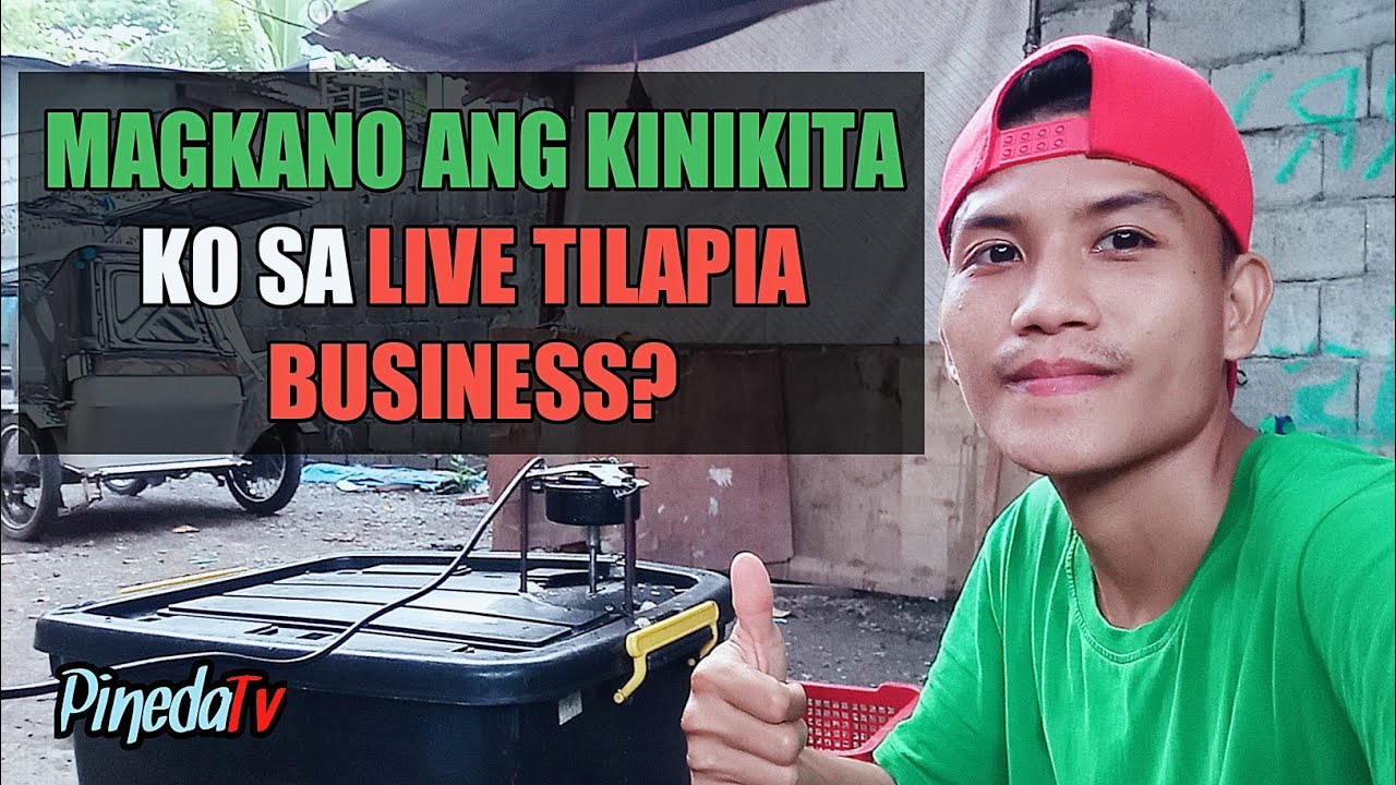 Magkano ang kita sa Live Tilapia Business? (Negosyong Pinoy, Negosyo Philippines) | PinedaTv