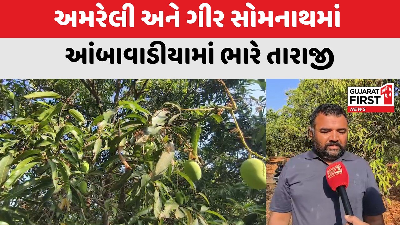 Unseasonal Rain : સૌરાષ્ટ્રમાં ફળોના રાજા કેસર કેરીના પાક પર ગ્રહણ | Gujarat First