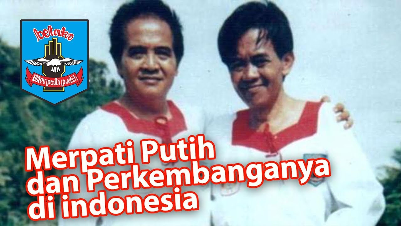Sejarah Merpati Putih dan Manfaatnya untuk Tuna Netra
