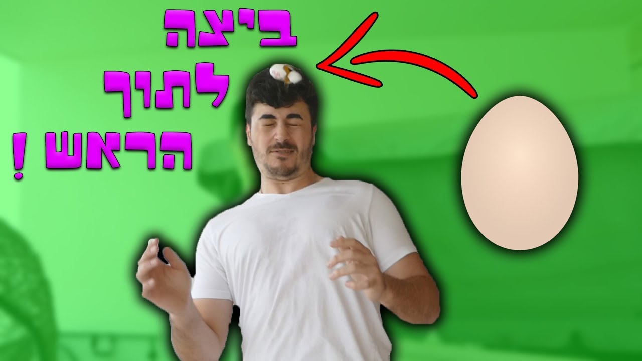 הביצה הזאת הרסה לי את התוכנית !