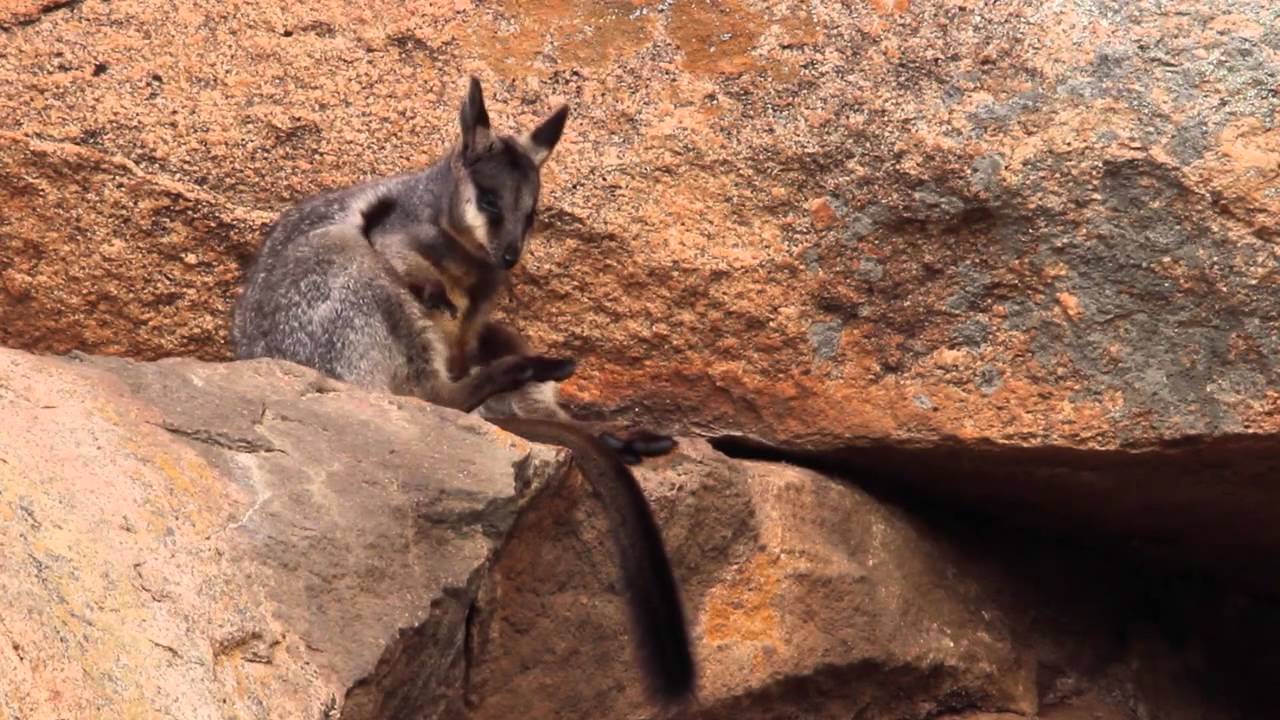 35 years of work in Western Australia