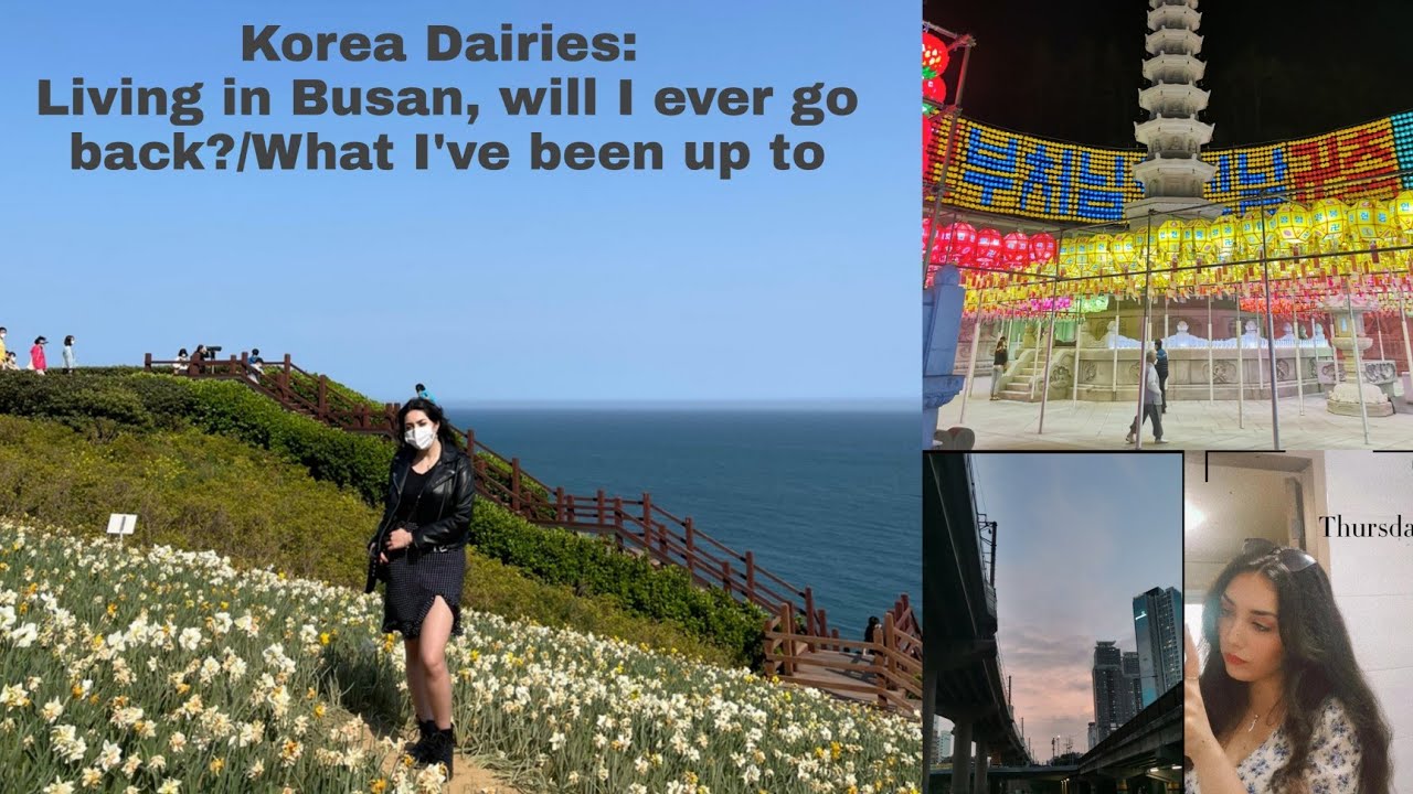 Korea Diaries: Living in Busan, will I ever go back?/ What I've been up to