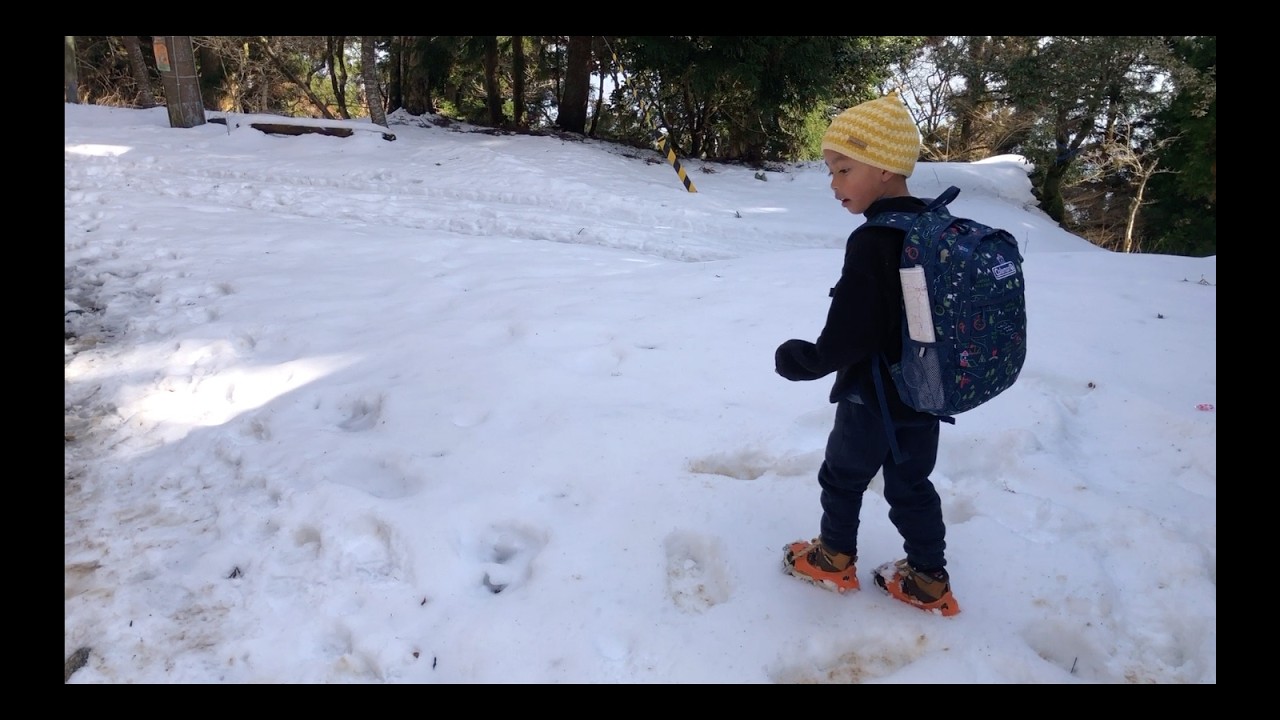 Hiking Kyoto’s Highest Peak – Mount Atago (924m) with My 6-Year-Old Son