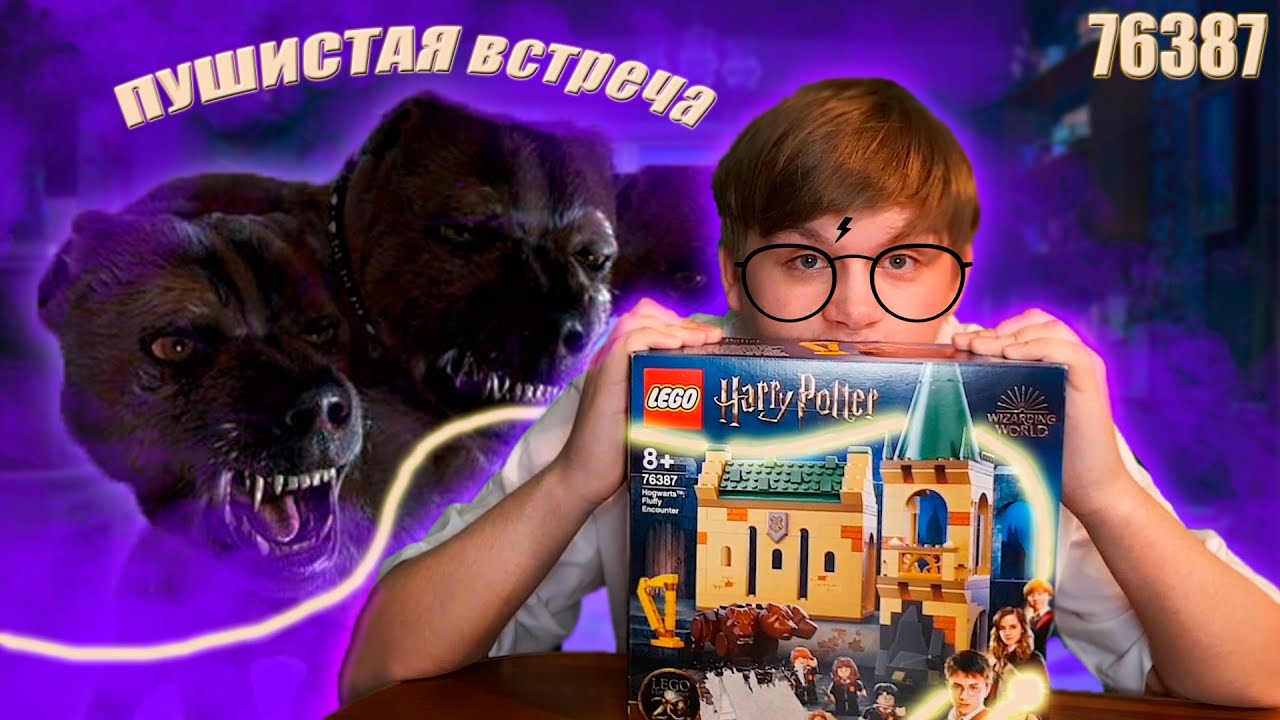 Забрали ПОСЛЕДНИЙ набор | Обзор на LEGO harry potter OZON 76387