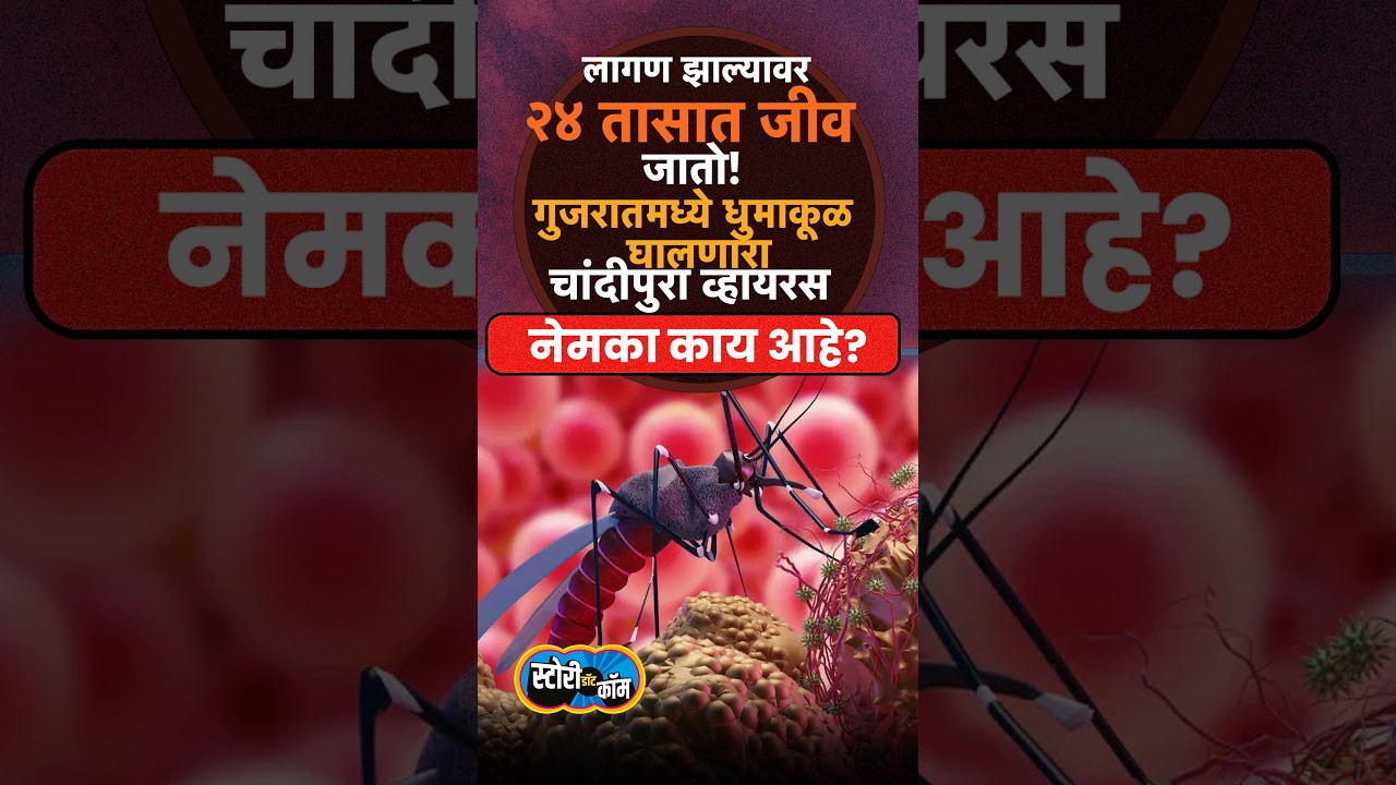 गुजरातमध्ये धुमाकूळ घालणारा चांदीपुरा व्हायरस नेमका काय आहे? | Story Dot Com