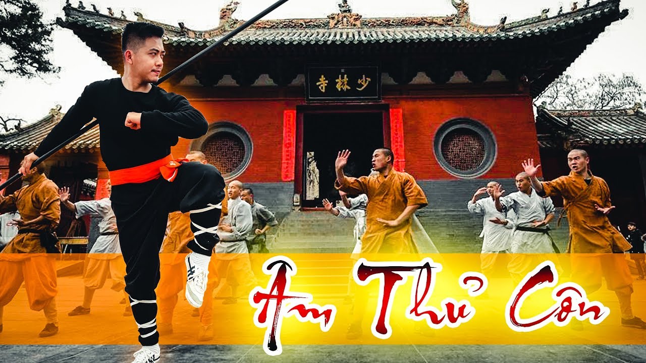 TINH HOA VÕ THUẬT: Phân Thế chi tiết 