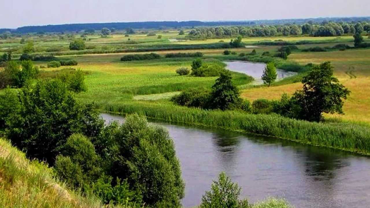 Родные просторы