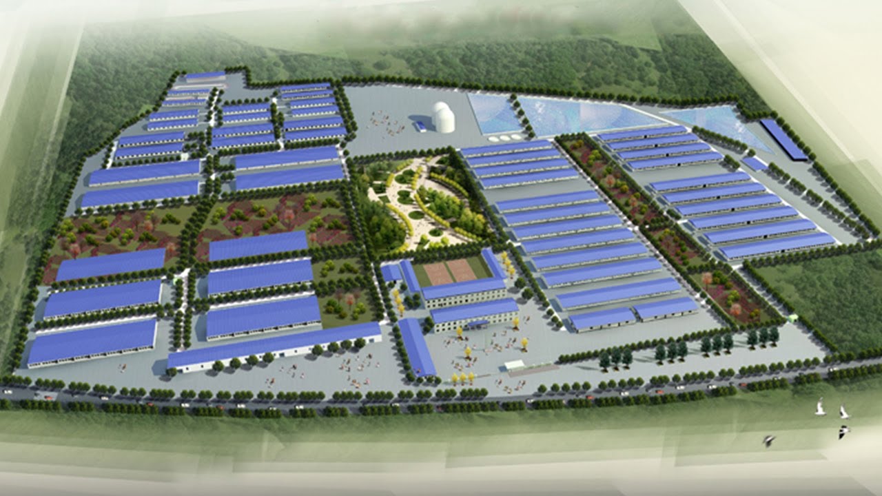 China's modernized 3,000-head pig farm
