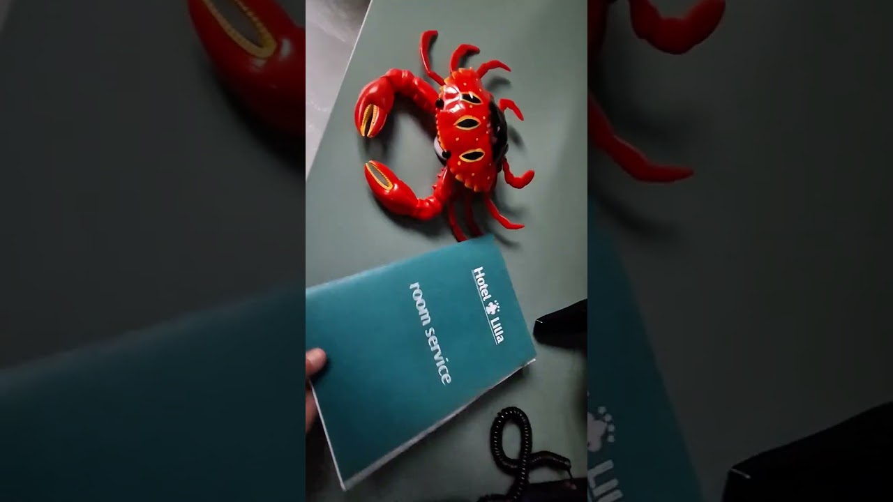 Відкрив міні готель в готелі 😀. Вийшло круто