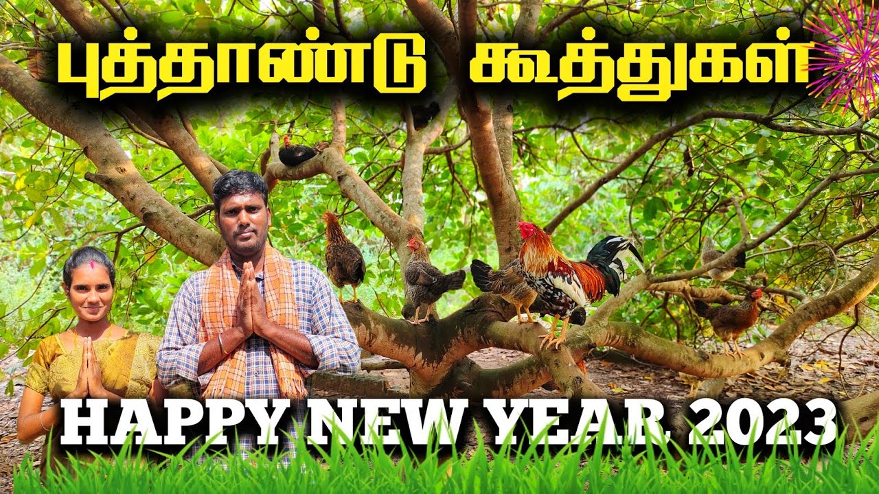 புத்தாண்டு கூத்துகள்  2023 / kozhi koothugal  😂😂