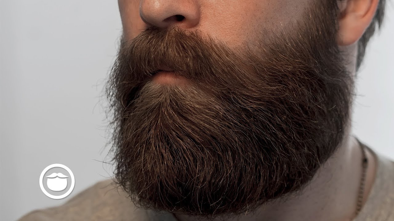 Beard Tour | Джефф Буонкристиано