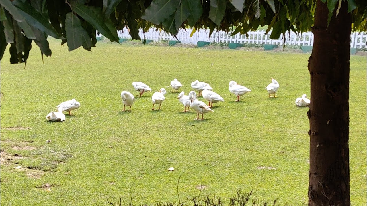 #travel #expodubai #cricket #ai #summit #viral #viralworld #viralvideo #trending #trendingshorts 